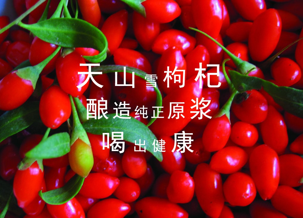 &#76;&#69;&#84;&#79;&#85;&#46;&#67;&#79;&#77;&#45;&#20048;&#25237;&#65288;&#20013;&#22269;&#65289;